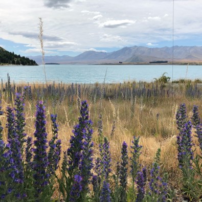 UNADJUSTEDNONRAW_thumb_1ee7